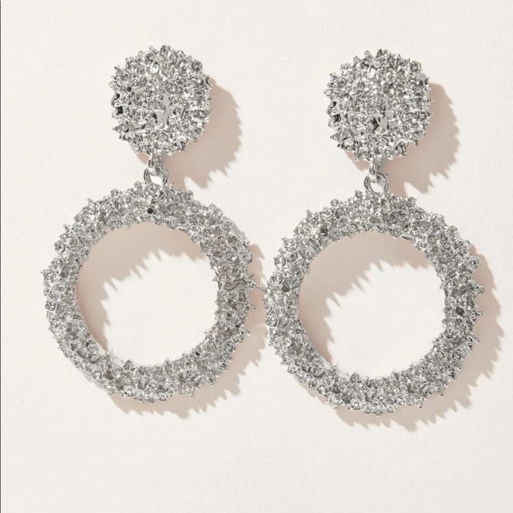 NWOT Round Charm Drop Earrings